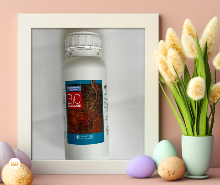 کود تقویت ریشه بایورادیکانت ۶۰ سی سی