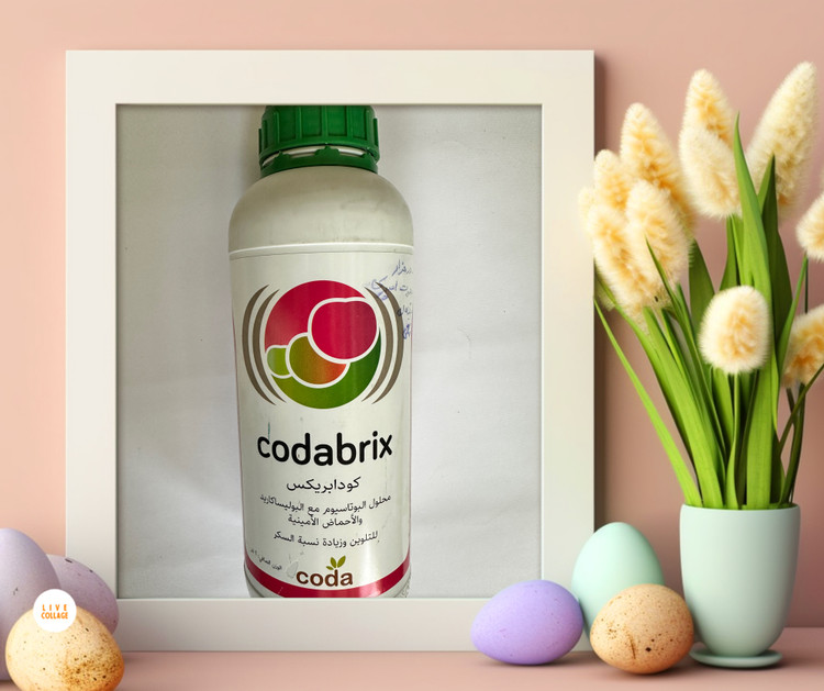 کود کودابریکس مخصوص گیاهان رنگی در بسته بندی ۶۰ سی سی