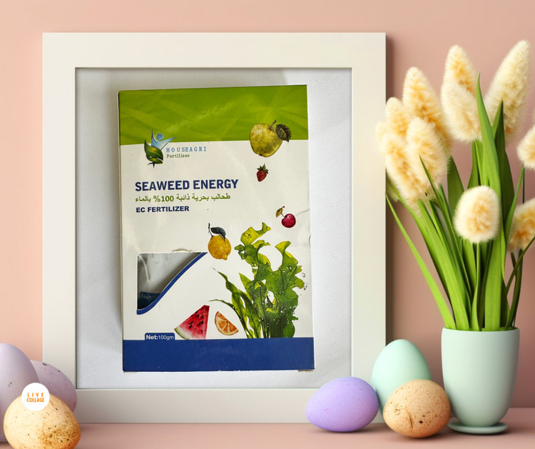 کود جلبک دریایی اسپانیا