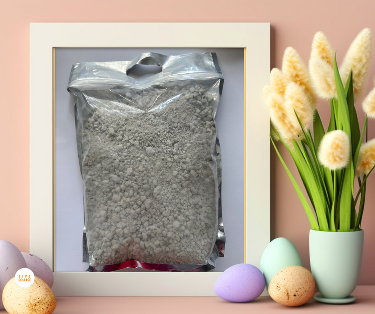 پومدیا بستر کشت هیدروپونیک