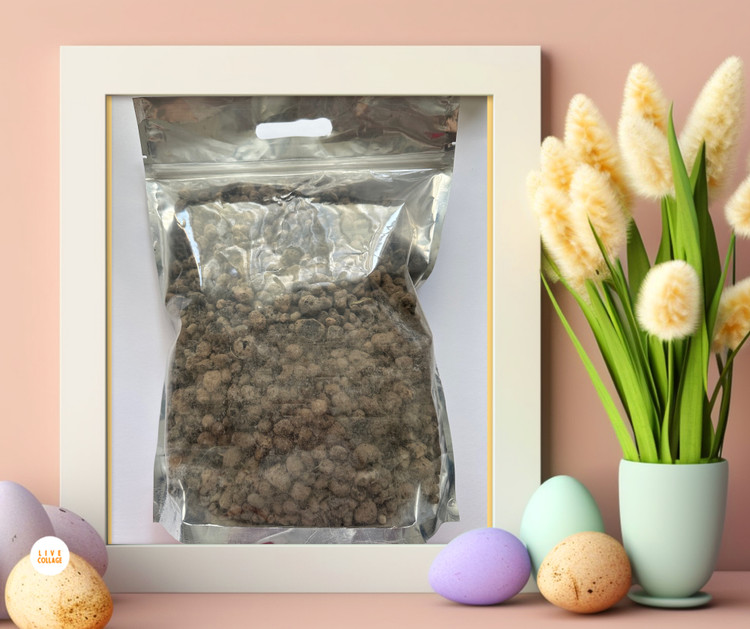 لیکا بسته بزرگ