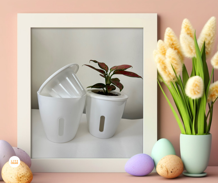 گلدان دوجداره هیدروپونیک سایز ۹