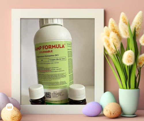 قارچ کش اکسی کلر مس وارداتی