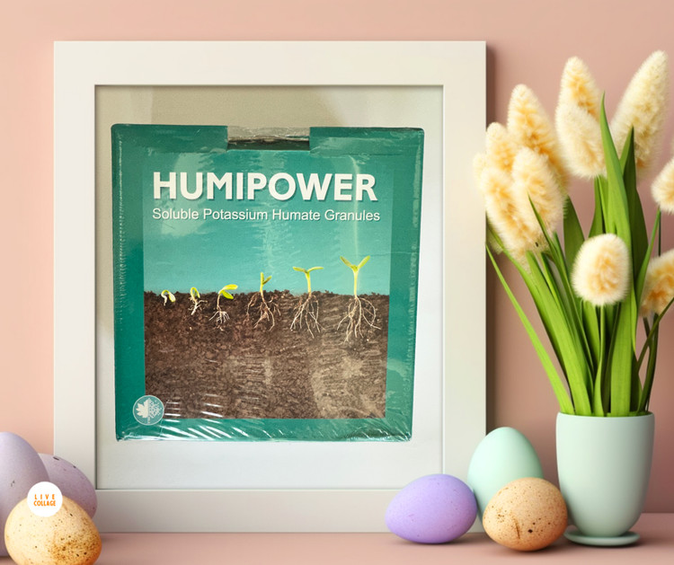 هیومیک اسید اسپانیایی