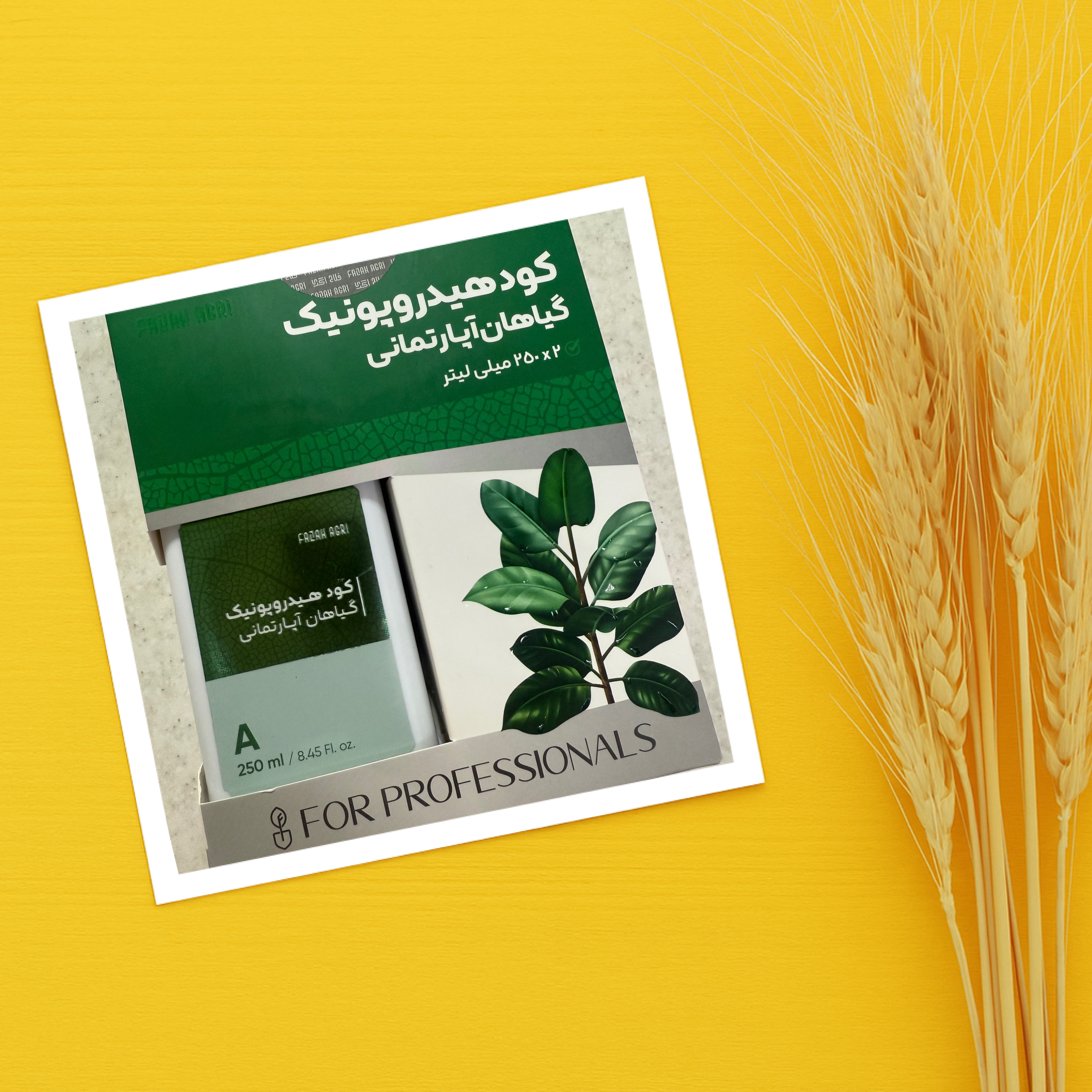 کود مخصوص کشت هیدروپونیک