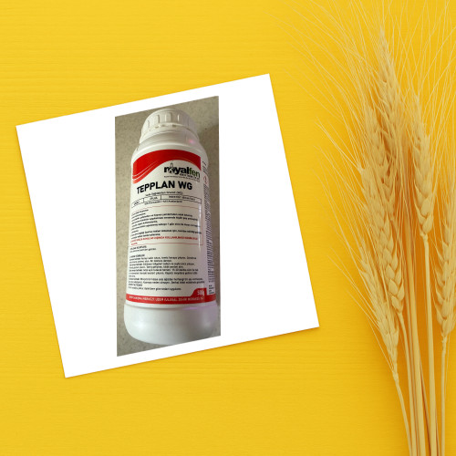 سم سیستمیک تپلان