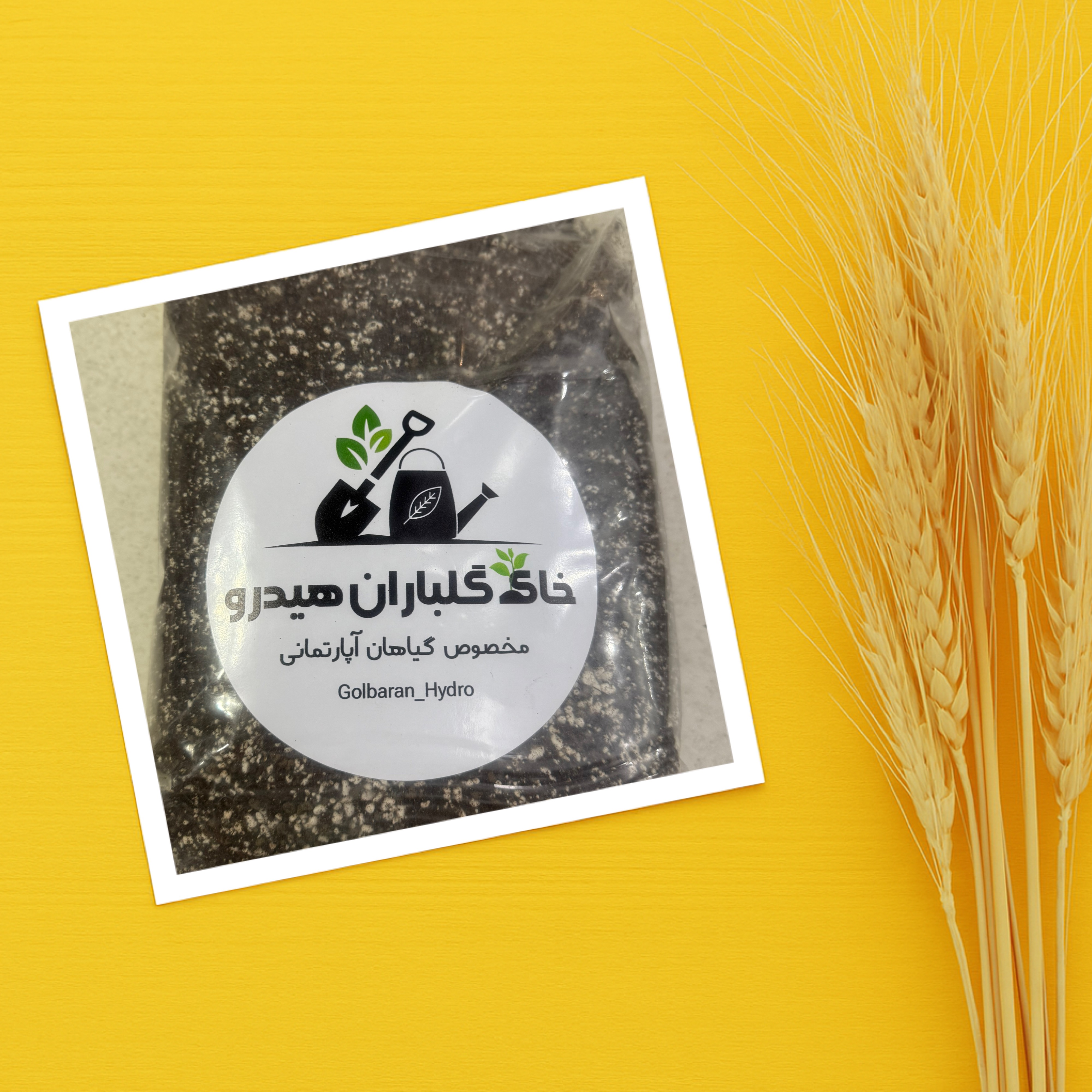 خاک گیاهان آپارتمانی